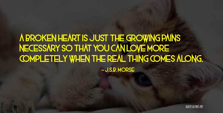 Growing Pains Quotes By J.S.B. Morse