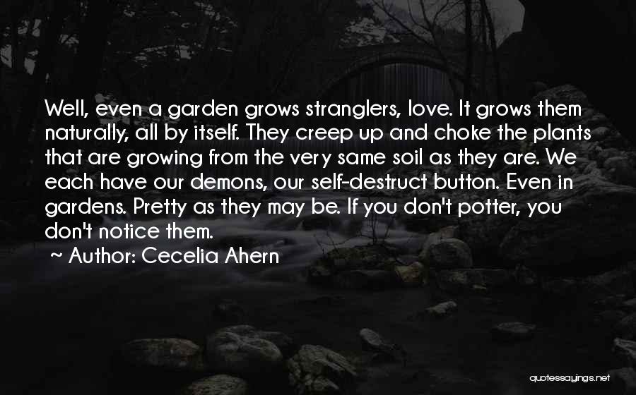 Growing Plants Quotes By Cecelia Ahern