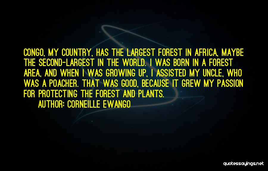 Growing Plants Quotes By Corneille Ewango