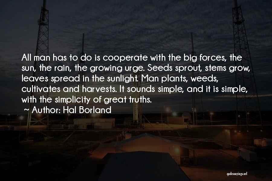 Growing Plants Quotes By Hal Borland