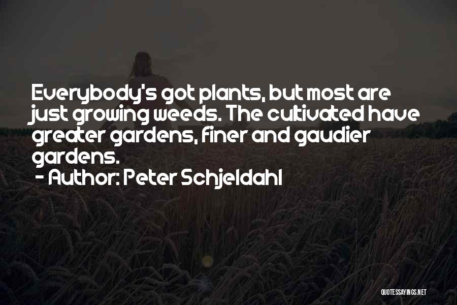 Growing Plants Quotes By Peter Schjeldahl