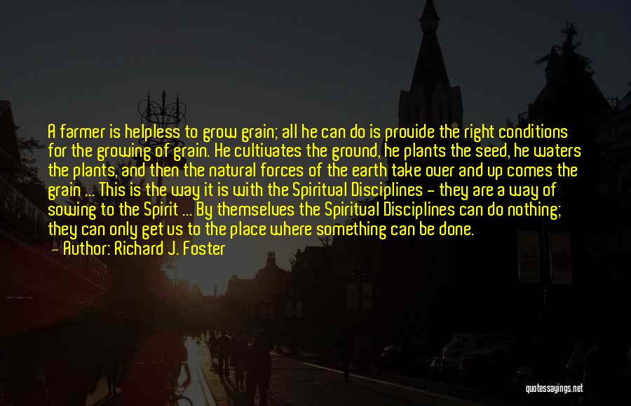 Growing Plants Quotes By Richard J. Foster