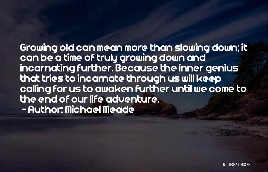 Growing Through Life Quotes By Michael Meade