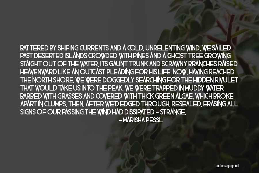 Growing Tree Quotes By Marisha Pessl Growing Tree Quotes By Marisha Pessl