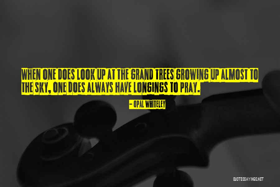 Growing Tree Quotes By Opal Whiteley Growing Tree Quotes By Opal Whiteley