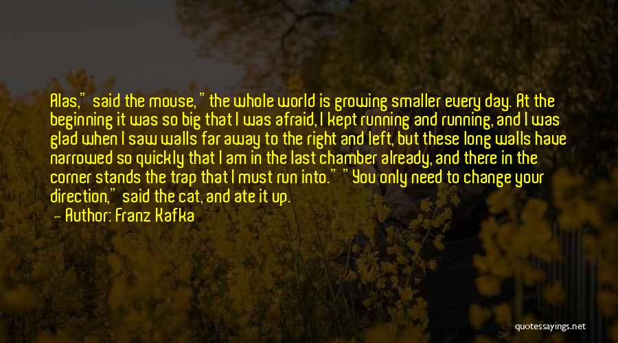 Growing Up And Change Quotes By Franz Kafka