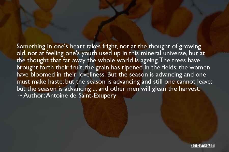 Growing Up And Trees Quotes By Antoine De Saint-Exupery