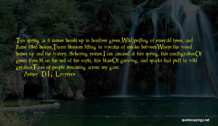 Growing Up And Trees Quotes By D.H. Lawrence