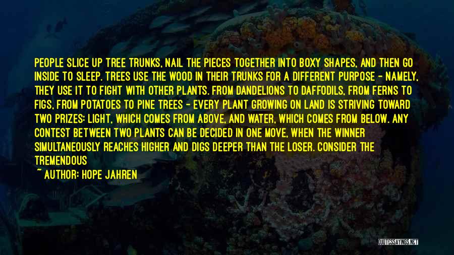 Growing Up And Trees Quotes By Hope Jahren