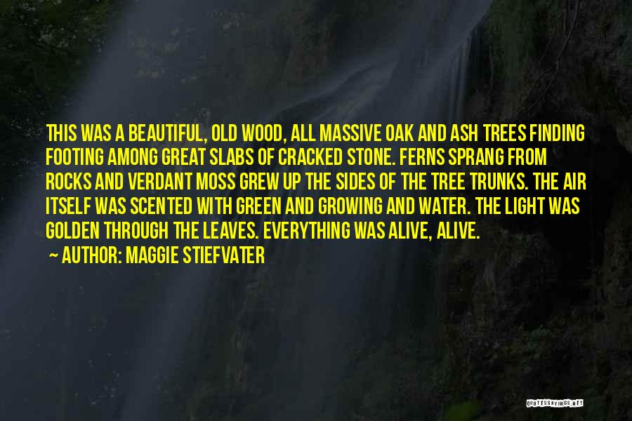 Growing Up And Trees Quotes By Maggie Stiefvater