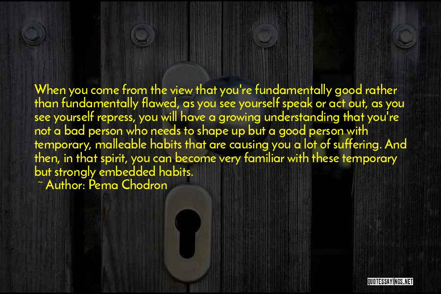 Growing Up As A Person Quotes By Pema Chodron