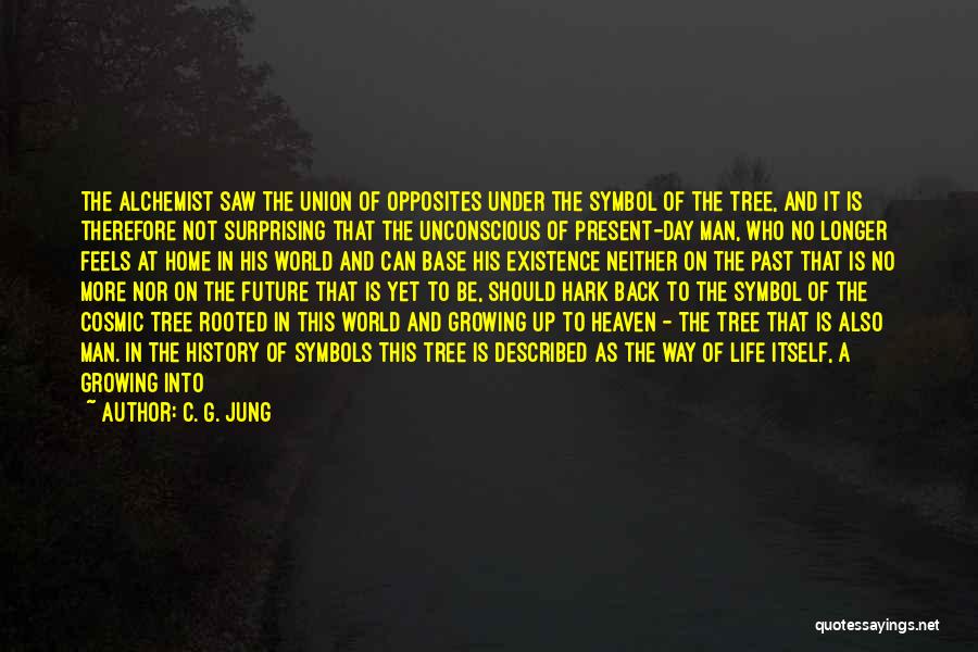 Growing Up Change Quotes By C. G. Jung