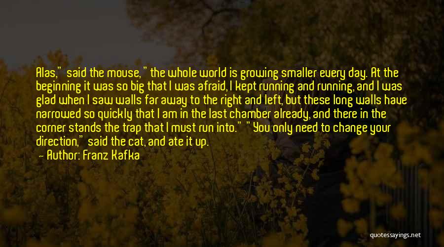 Growing Up Change Quotes By Franz Kafka