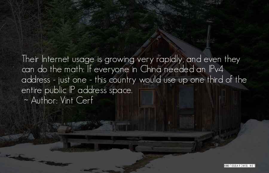 Growing Up Country Quotes By Vint Cerf