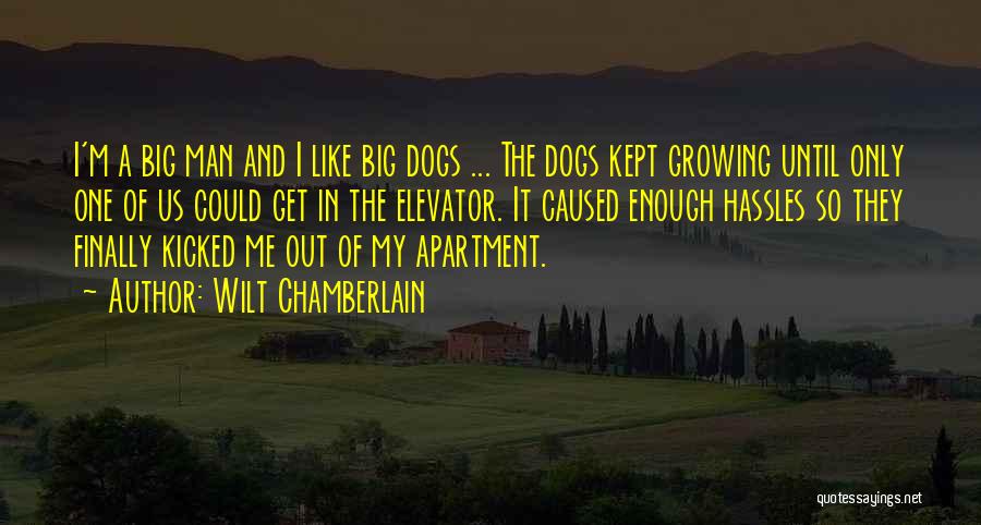 Growing Up Dog Quotes By Wilt Chamberlain