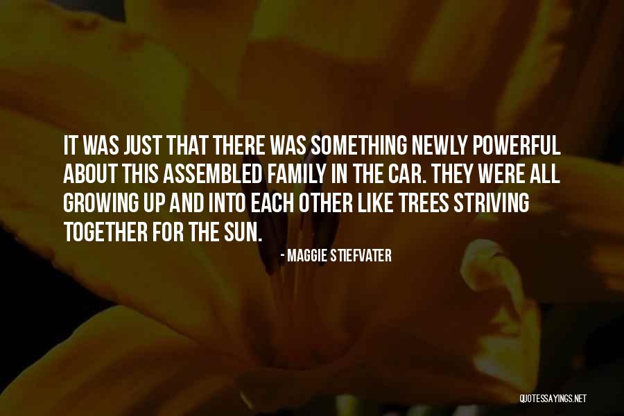 Growing Up In Love Quotes By Maggie Stiefvater