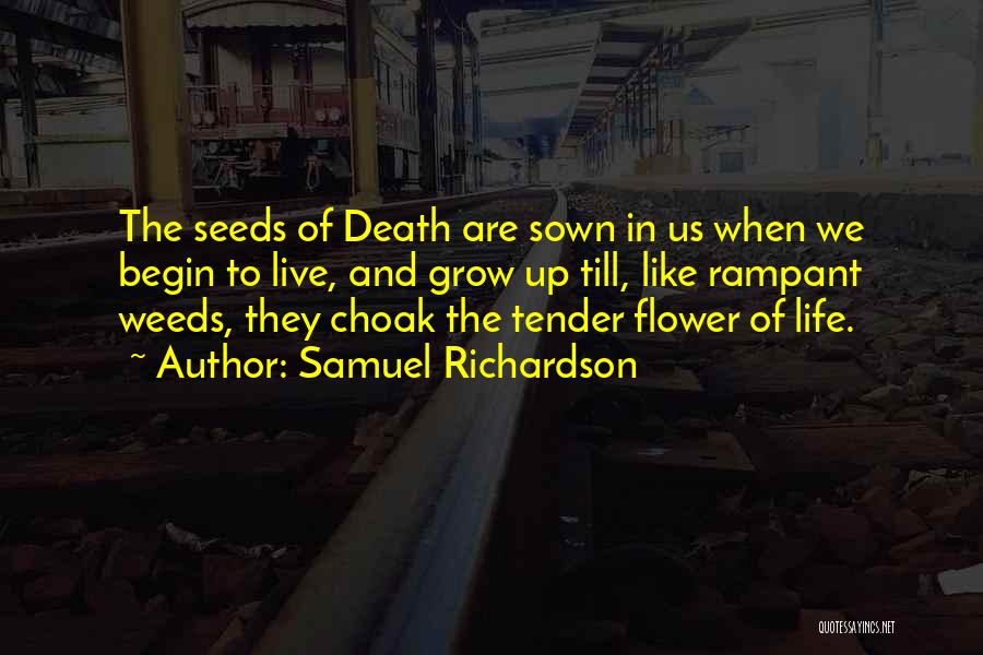 Growing Up Like A Flower Quotes By Samuel Richardson