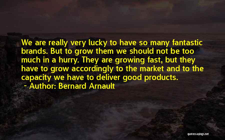 Growing Up Way Too Fast Quotes By Bernard Arnault