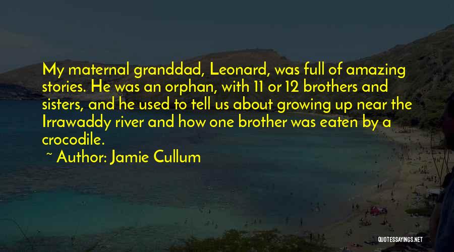 Growing Up With Brother Quotes By Jamie Cullum