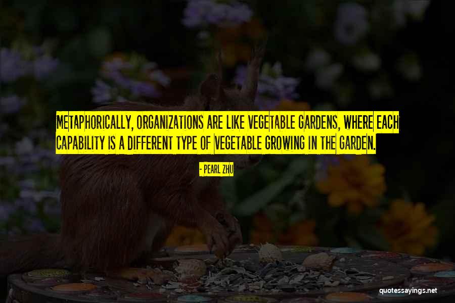 Growing Vegetable Quotes By Pearl Zhu Growing Vegetable Quotes By Pearl Zhu