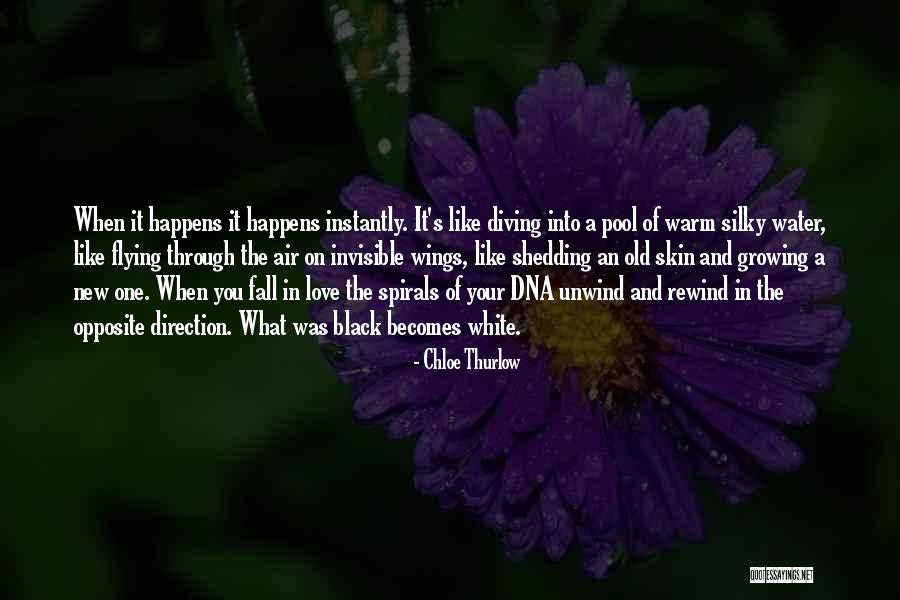 Growing Wings And Flying Quotes By Chloe Thurlow Growing Wings And Flying Quotes By Chloe Thurlow
