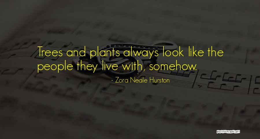 Growlying Quotes By Zora Neale Hurston Growlying Quotes By Zora Neale Hurston