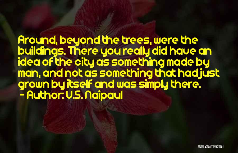 Grown Man Quotes By V.S. Naipaul