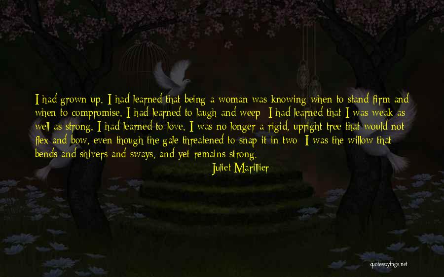 Grown Up Love Quotes By Juliet Marillier