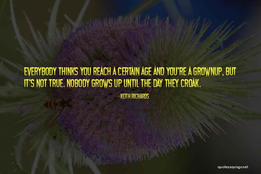 Grownup Quotes By Keith Richards Grownup Quotes By Keith Richards