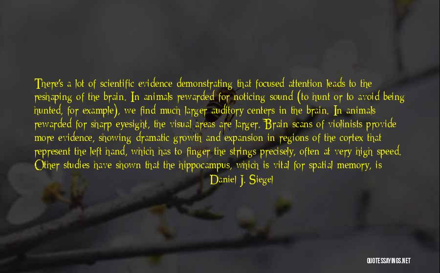 Growth And Expansion Quotes By Daniel J. Siegel Growth And Expansion Quotes By Daniel J. Siegel