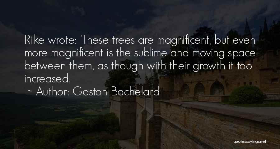 Growth And Nature Quotes By Gaston Bachelard