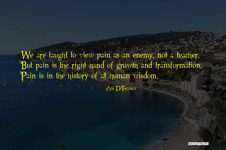 Growth And Pain Quotes By Ani DiFranco