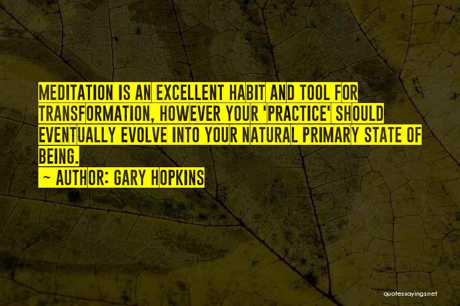 Growth And Transformation Quotes By Gary Hopkins