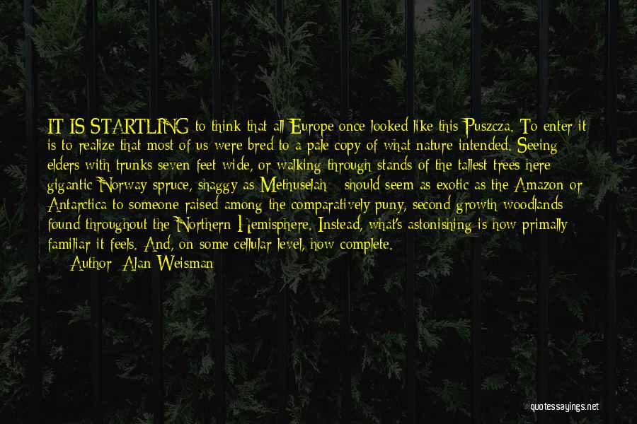 Growth And Trees Quotes By Alan Weisman