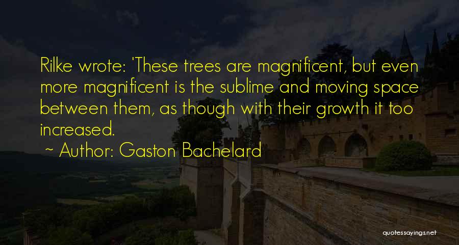 Growth And Trees Quotes By Gaston Bachelard