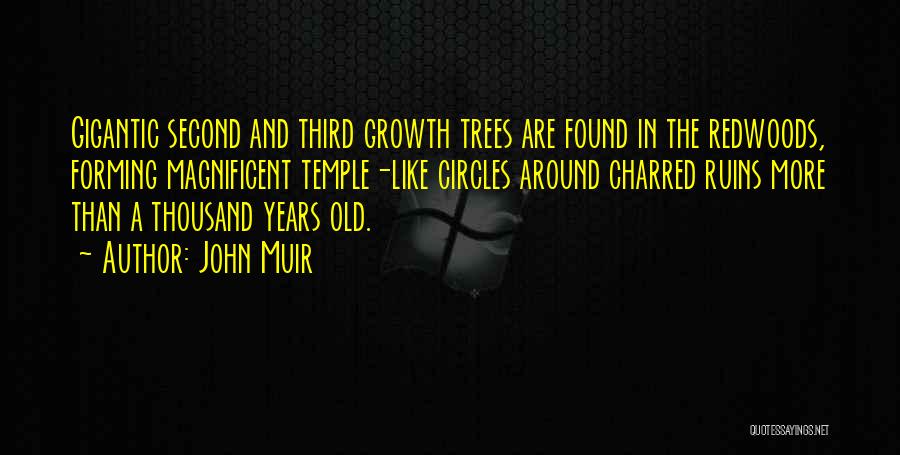 Growth And Trees Quotes By John Muir