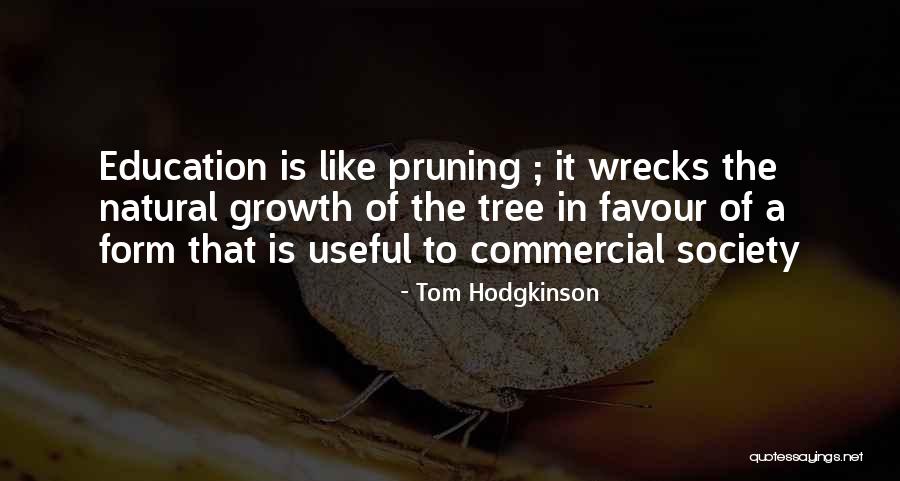 Growth In Education Quotes By Tom Hodgkinson