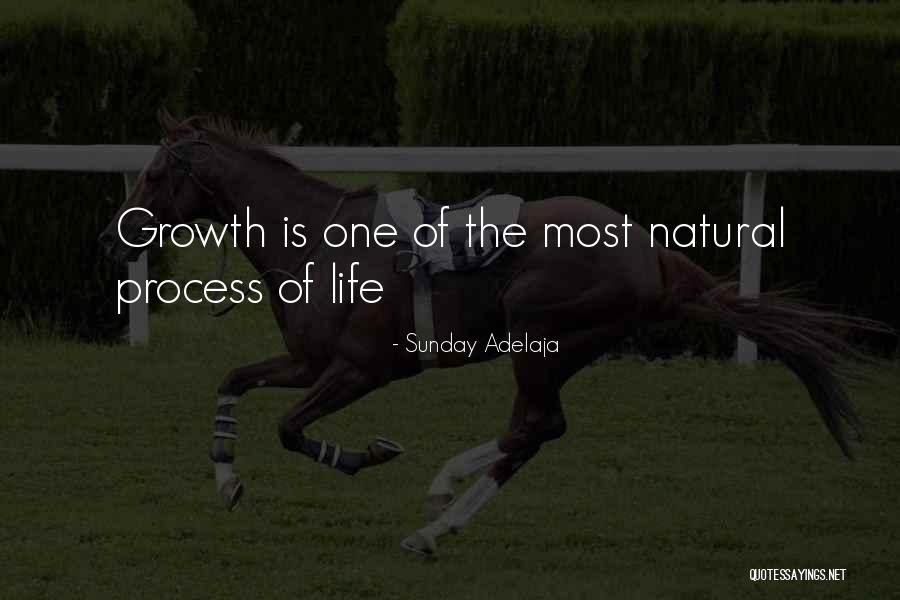 Growth Process Quotes By Sunday Adelaja Growth Process Quotes By Sunday Adelaja