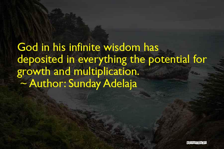 Growth Quotes By Sunday Adelaja