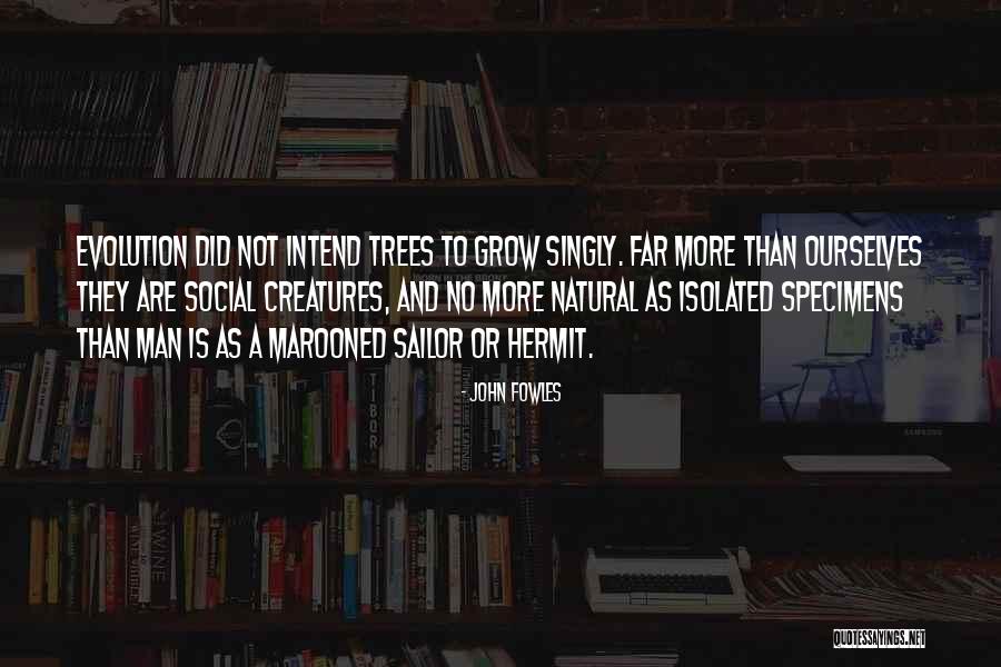 Grrrrr Lichtenstein Quotes By John Fowles Grrrrr Lichtenstein Quotes By John Fowles