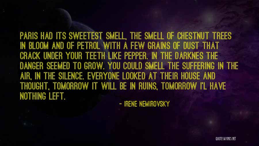 Grubenlampen Quotes By Irene Nemirovsky Grubenlampen Quotes By Irene Nemirovsky