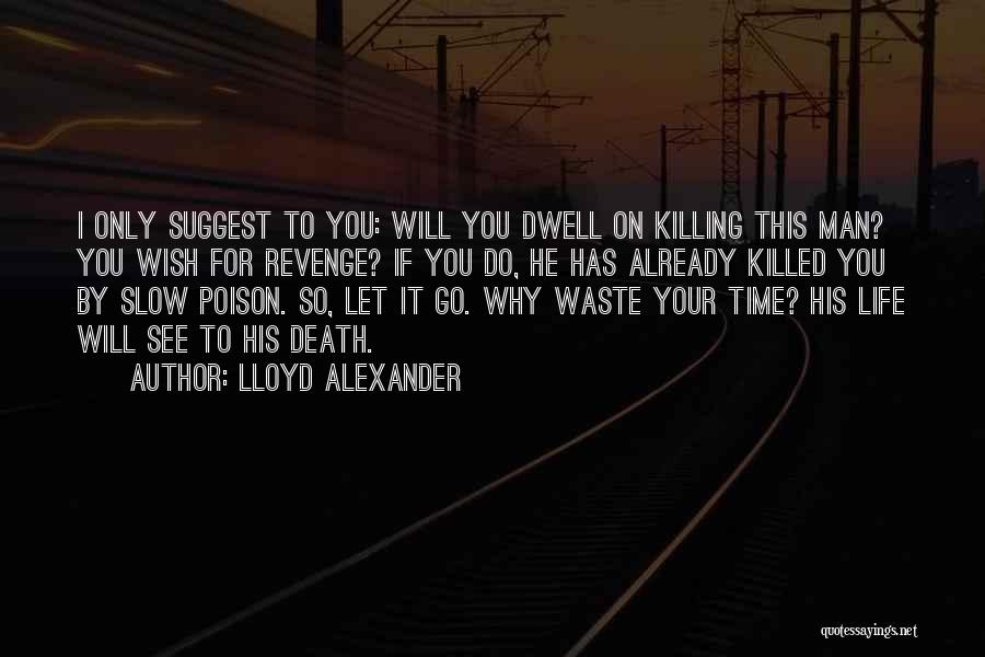 Grudge Quotes By Lloyd Alexander