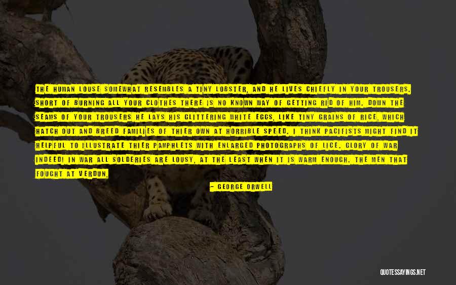 Grudinin Quotes By George Orwell Grudinin Quotes By George Orwell