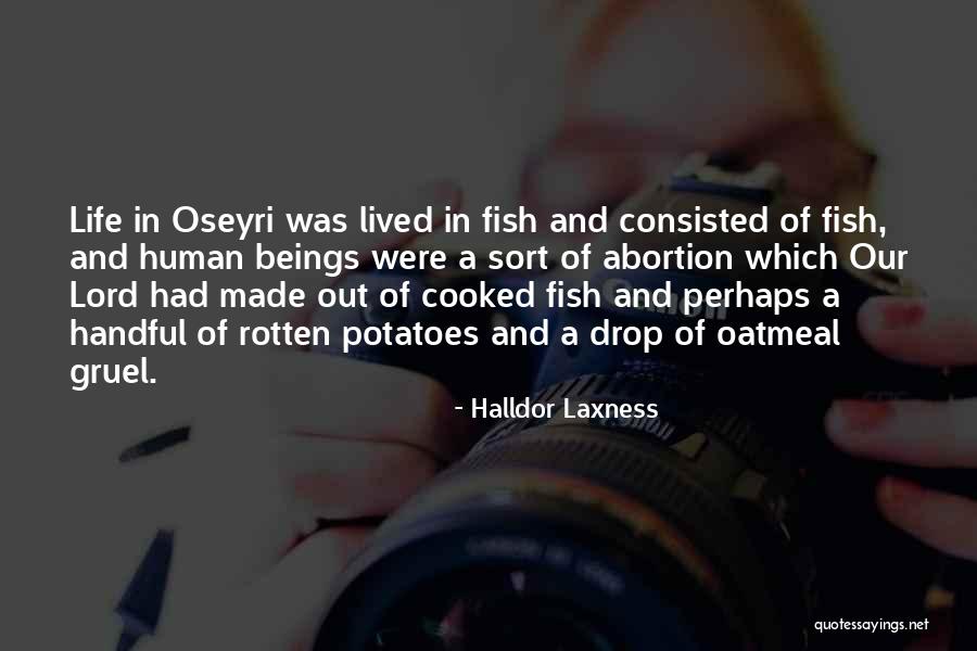 Gruel Quotes By Halldor Laxness Gruel Quotes By Halldor Laxness