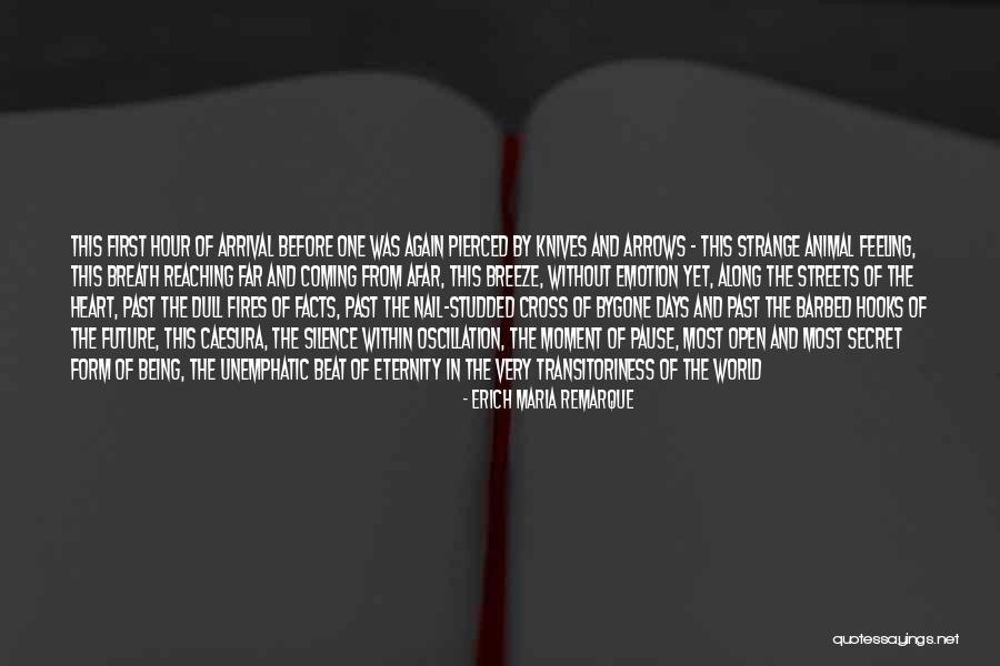 Grumbler Crashlands Quotes By Erich Maria Remarque Grumbler Crashlands Quotes By Erich Maria Remarque