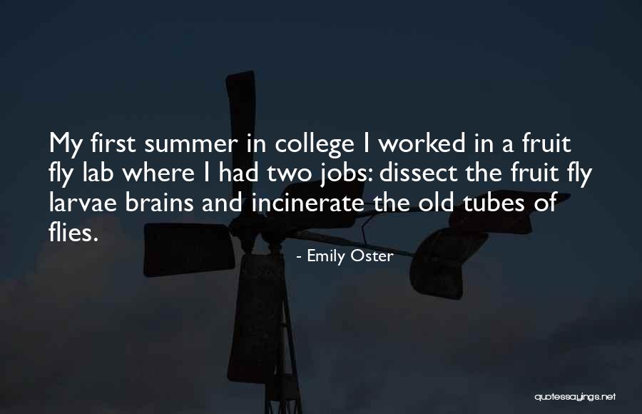 Grundle Quotes By Emily Oster Grundle Quotes By Emily Oster