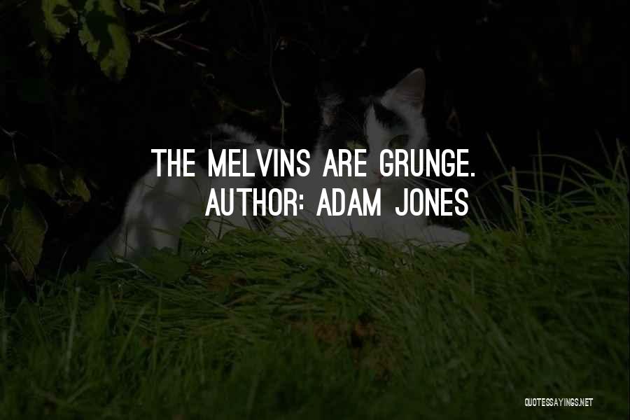 Grunge Quotes By Adam Jones