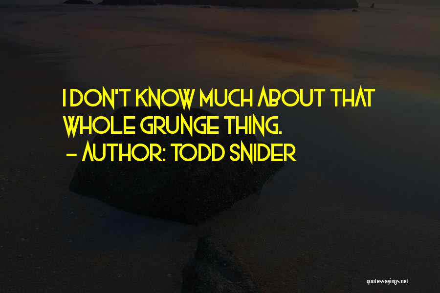 Grunge Quotes By Todd Snider