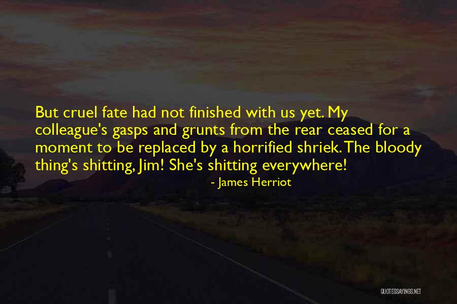 Grunts Quotes By James Herriot Grunts Quotes By James Herriot