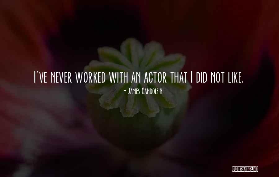 Grusky Beer Quotes By James Gandolfini Grusky Beer Quotes By James Gandolfini